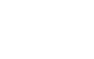 logo ulyse nardin