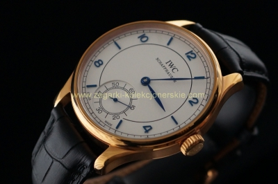IWC - 007